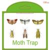 2/5/10 ks Lapače molů Spíž Oblečení Kuchyň Jídlo Domov Zahrada Hubení škůdců Lapače molů Feromon Molů Samolepka Lapač molů