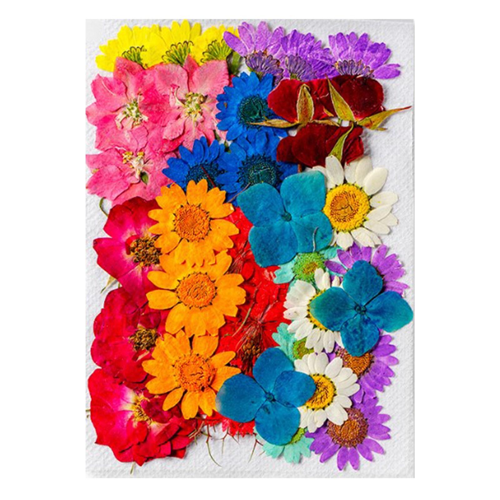 

36 шт. Сушеные цветы в ассортименте стилей и цветов, натуральный материал, многоцелевые головки сушеных цветов для