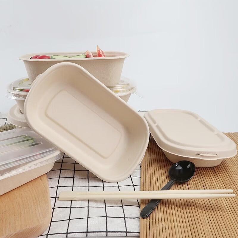Deshangyuan 700ml Sugarcane Pulp Disposable Meal Boxes with Lids, 50-Pack