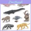 Realistic South American Animal Figurine Set Of 8 Pvc Models For Collectors And Decor