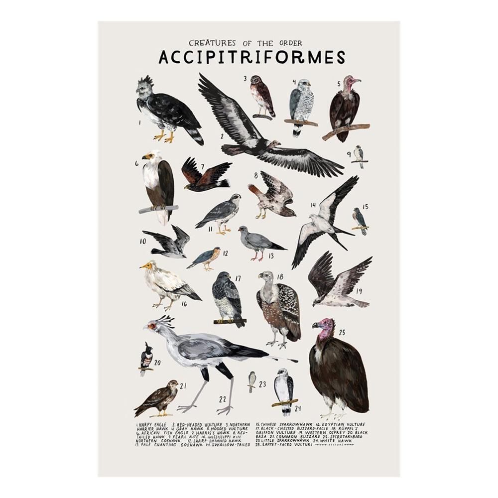 Abstract Marine Organisms Jellyfish Whale Squid Fishes Posters Canvas Painting and Prints Wall Art Picture for Room Home Decor