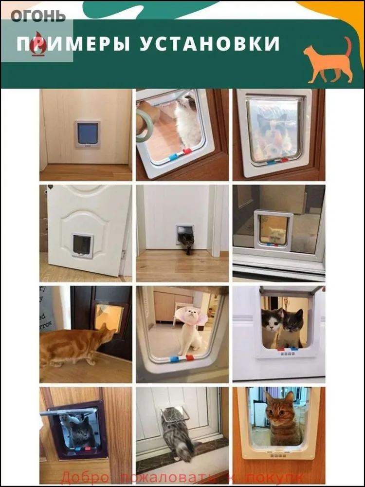 Exclusive door for large cats and medium dogs