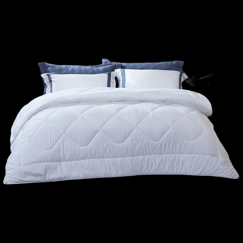 Fuanna All-Season Warm Quilt