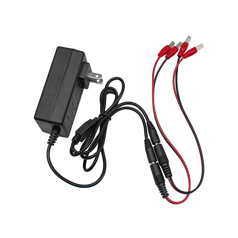 Dual Head Safe Lithium Charger 18V 21V 24V Overload Protection Universal Plug for Electric Screwdriver Batteries