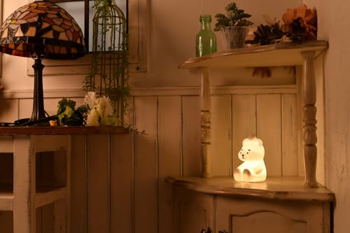 Efutan Room Light Book ([Variety])