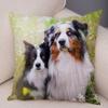 Printed Pet Animal Cushion Cover Scotland Border Collie Soft Plush Pillowcase Decor Cute Dog Pillow Case for Sofa Car
