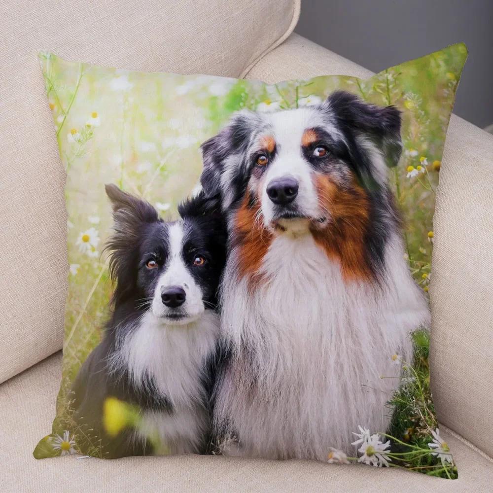 Trykt Putetrekk for Kjæledyr Skottland Border Collie Mykt Plysj Putetrekk Dekor Søtt Hundeputetrekk for Sofa Bil