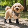 4 Pezzi Scarpe Antiscivolo per Cani Stivali Rinfrescanti in Rete Copripiedi Portatili per Cani Estate