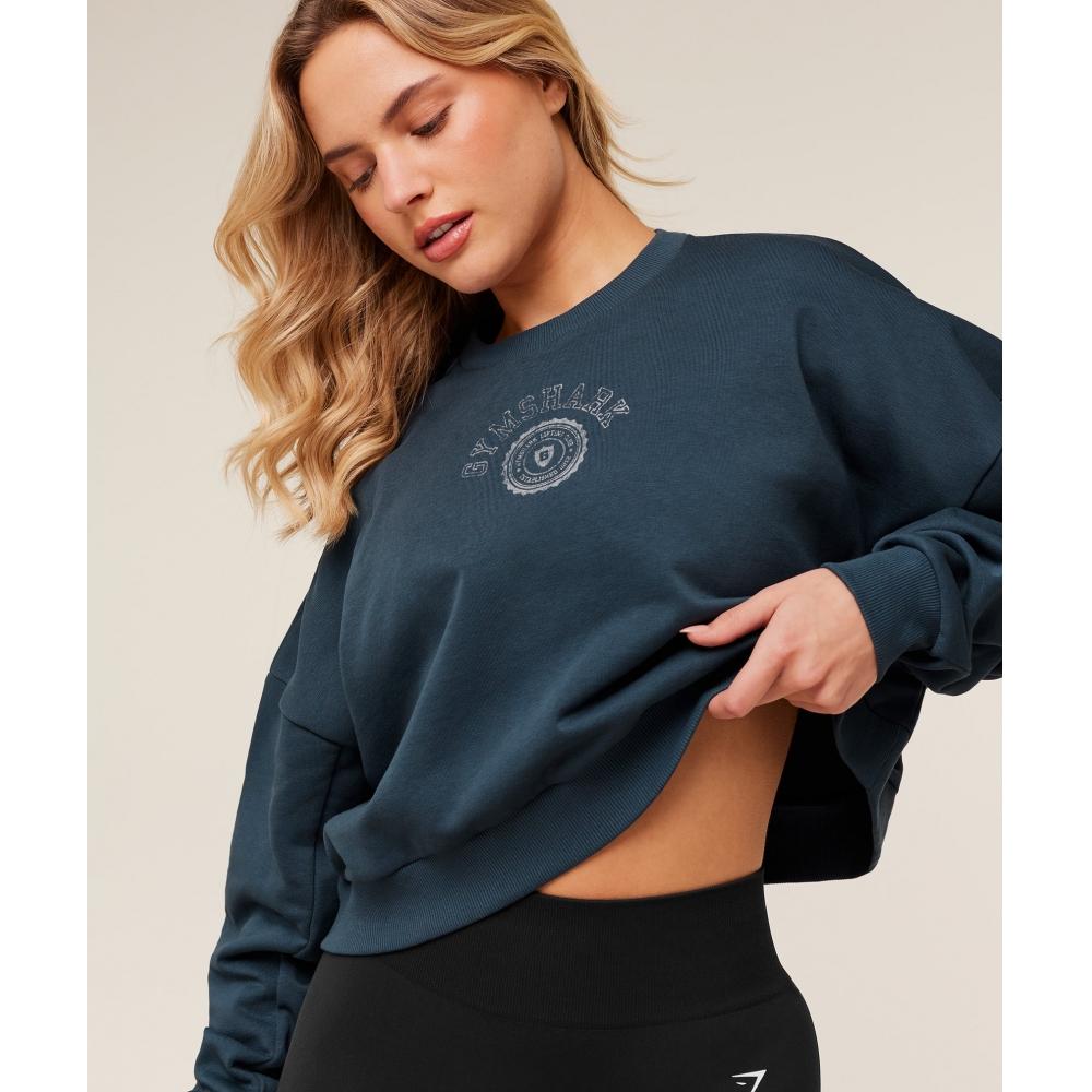 Gymshark Worn Crest Graphic Sweatshirt Gs Stealth Blue B6b5s Ud6s