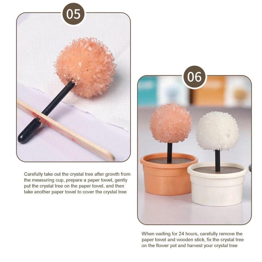 Easy To Grow Science Experiments Toy Grow a Crystal Crystal Making Kit  Teens