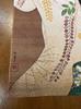 Kokintozai Tenugui Uemura Shoen Flame
