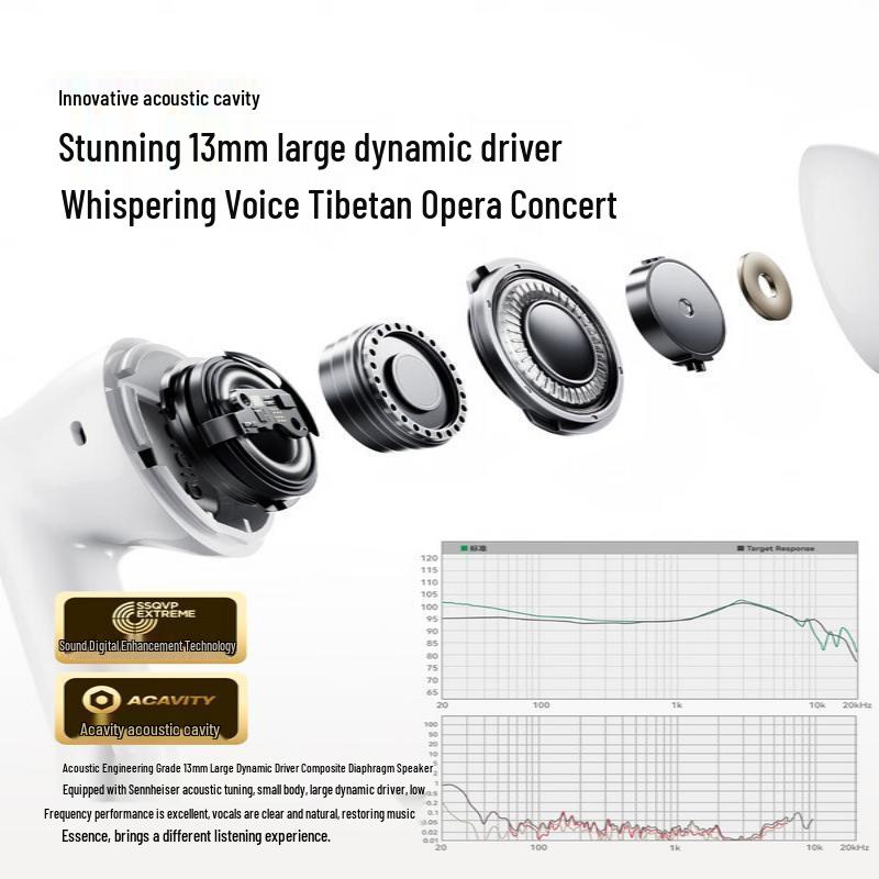 SANAG T20S True Wireless Bluetooth Earbuds