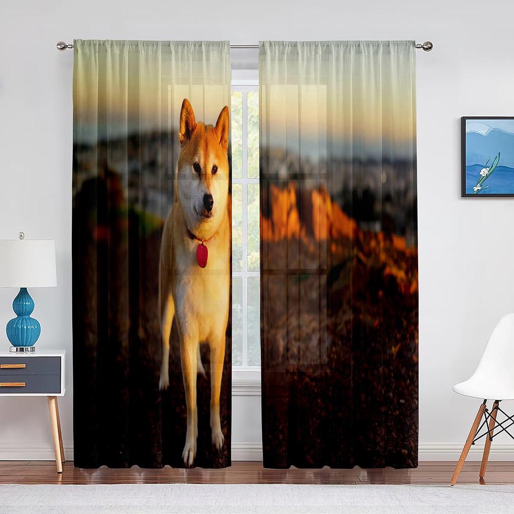 Câine Shiba Inu Drăguț Stând pe Iarbă Perdele Transparente pentru Decorul Camerei de Zi Cortină de Fereastră pentru Dormitor Bucătărie Draperii Tulle Voile