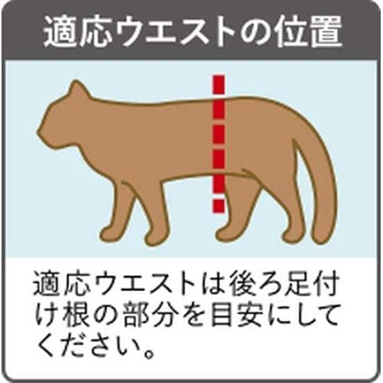 Of Manners Wear for Cats SS Size 40 Pieces X 3 Pieces [Set 3]