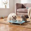Raised Pet Feeder Stand Non Slip Base   Edges Prevent Vomiting Reduce Neck Strain Pet Food Stand For Cats Small Dogs