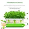 Hydroponic Sprouting Seedling Tray (2-Pack)