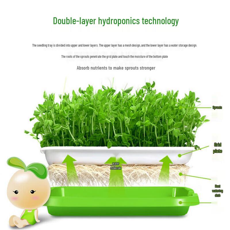 Hydroponic Sprouting Seedling Tray (2-Pack)