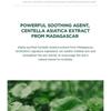 SKIN 1004 - Madagascar Centella Tea-Trica B5 Cream