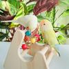 Hummingbird Parrots Perch Rocking Toy For Small Birds Secure Installation Indoor Outdoor