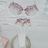 2Pcs/Set Sexy Fit Underwear Set Embroidery Flower Perspective Yarn Stitching Women Bra Low-rise Briefs Set