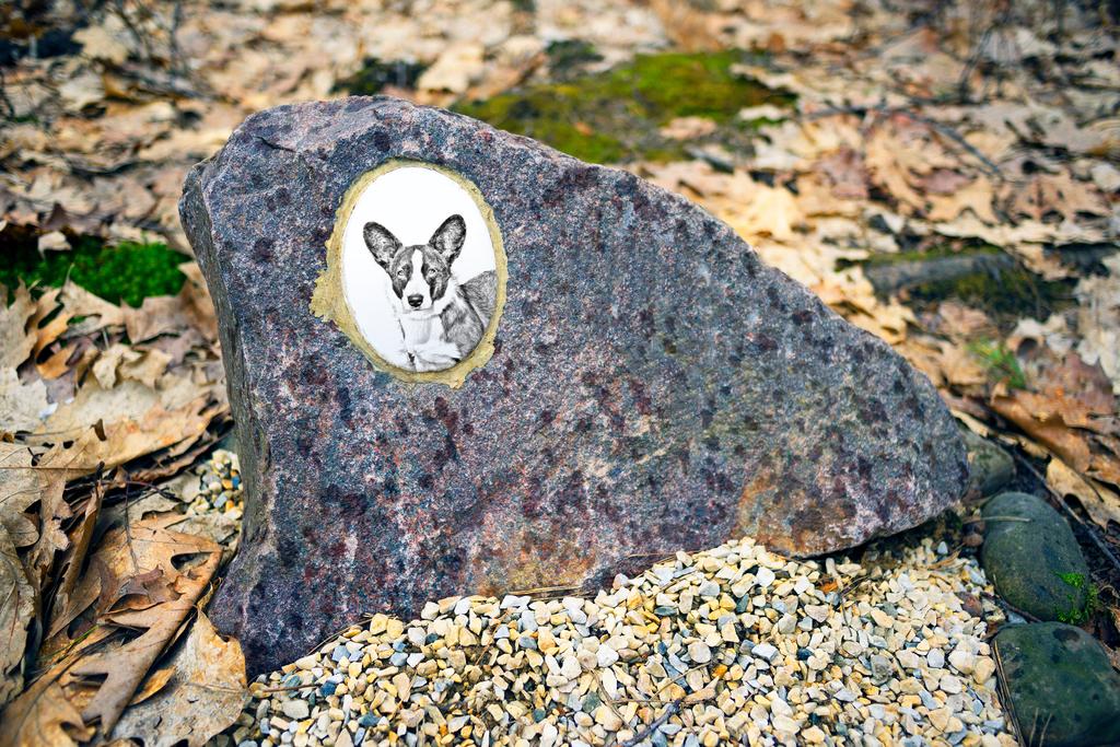 Cardigan Welsh Corgi - Commemorative Plaque with a Photo of a Dog, Tombstone with a Print, Personalized Oval Plaque from the Art-Dog Brand