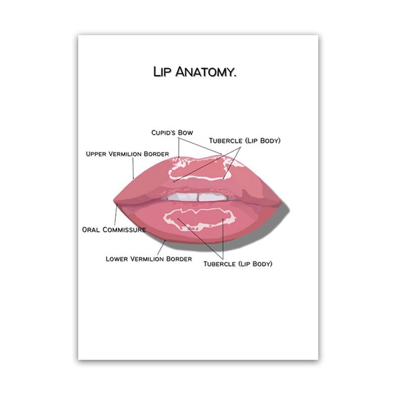 Nouveau Le Corps Structure Squelette Art Mural Anatomie du Système Nerveux Image sur Toile Affiche Éducative Décoration Médicale Peinture