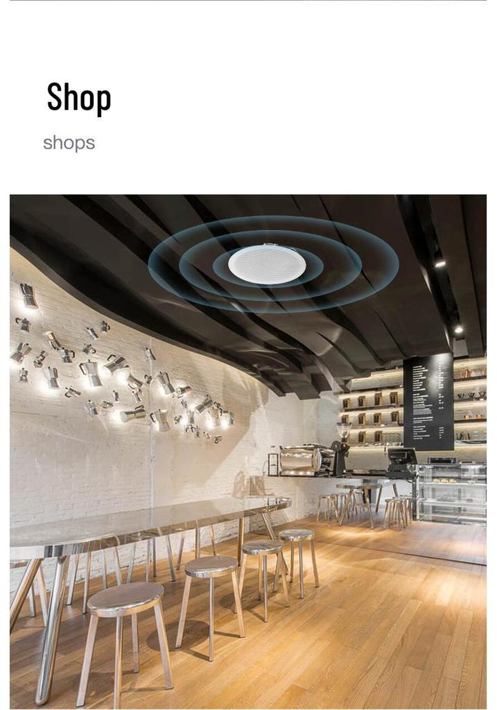Bluetooth Ceiling Speaker with Amplifier: High-Quality Sound, Bass, Coaxial Design