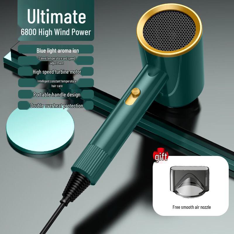 LISM Blue Light Ion Hair Dryer