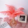 Color 20-25Cm Ostrich Hair Vase Ornament Wall Feather Decoration Hand Bouquet Flower Arrangement Diy Material