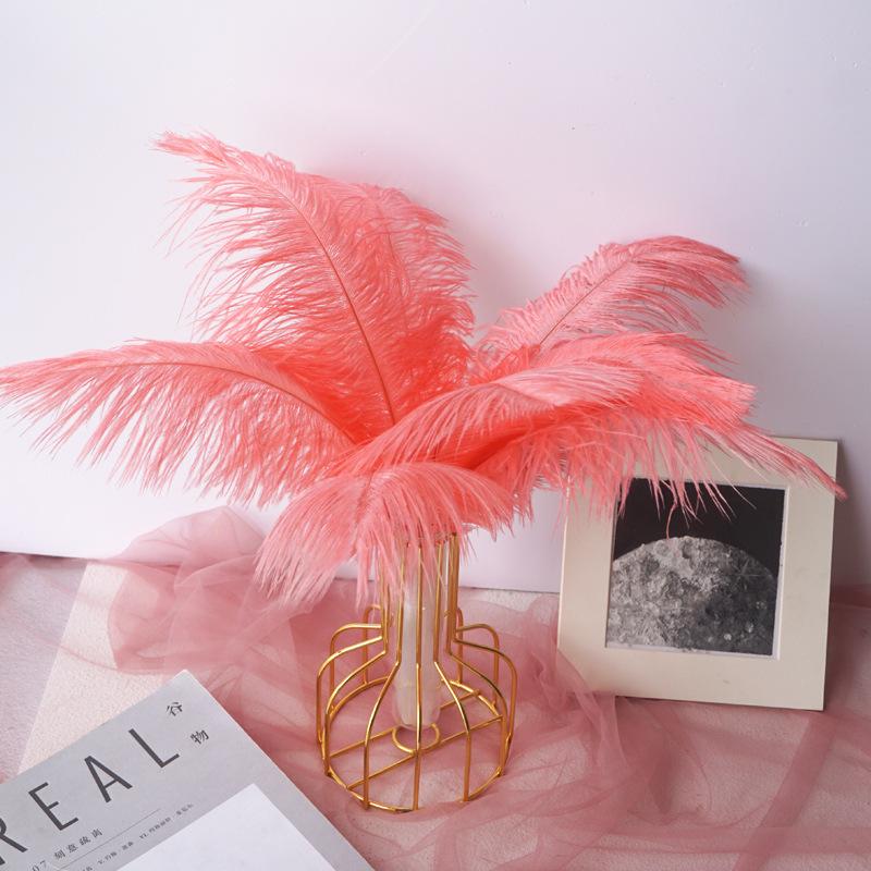 Color 20-25Cm Ostrich Hair Vase Ornament Wall Feather Decoration Hand Bouquet Flower Arrangement Diy Material