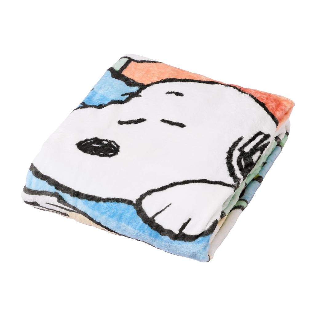 Nishikawa Snoopy Blanket, Single, Washable, PN3553SK, Sleeping Snoopy and Woodstock, Green, FQ03055087