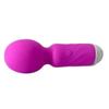 Mini AV Vibrator Magic Wand for Women Clitoris Stimulator USB Rechargeable Portable Silicone Massager Female Sex Toys