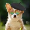 Zestaw Beret i Okulary dla Zwierząt na Halloween Cosplay Imprezę Modne Akcesoria Kostiumowe dla Kotów i Psów Wygodne
