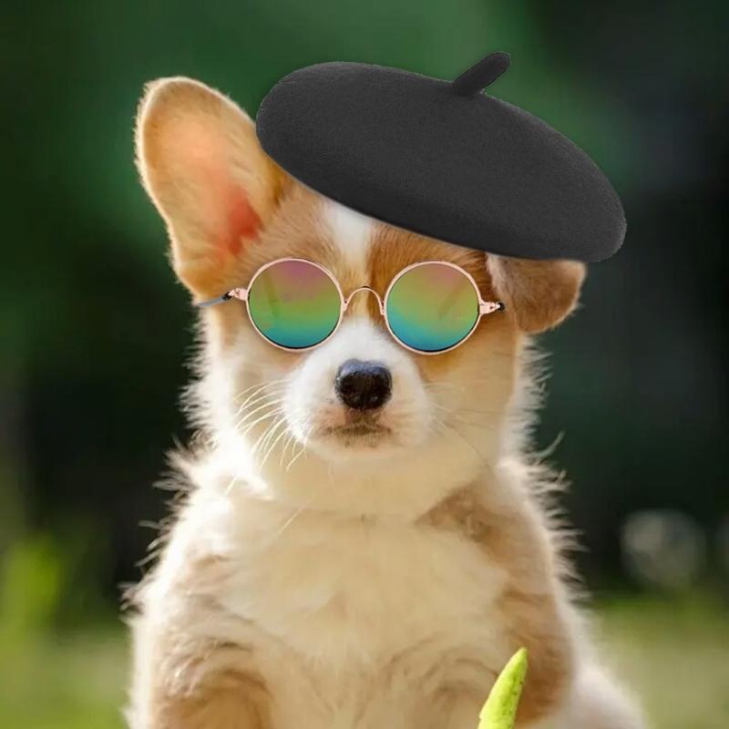Zestaw Beret i Okulary dla Zwierząt na Halloween Cosplay Imprezę Modne Akcesoria Kostiumowe dla Kotów i Psów Wygodne
