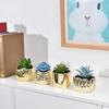 Electroplated Golden Ceramic Succulent Flower Pot Home Decor Horticultural Potted Creative Tabletop Plant Pots Floral Utensils