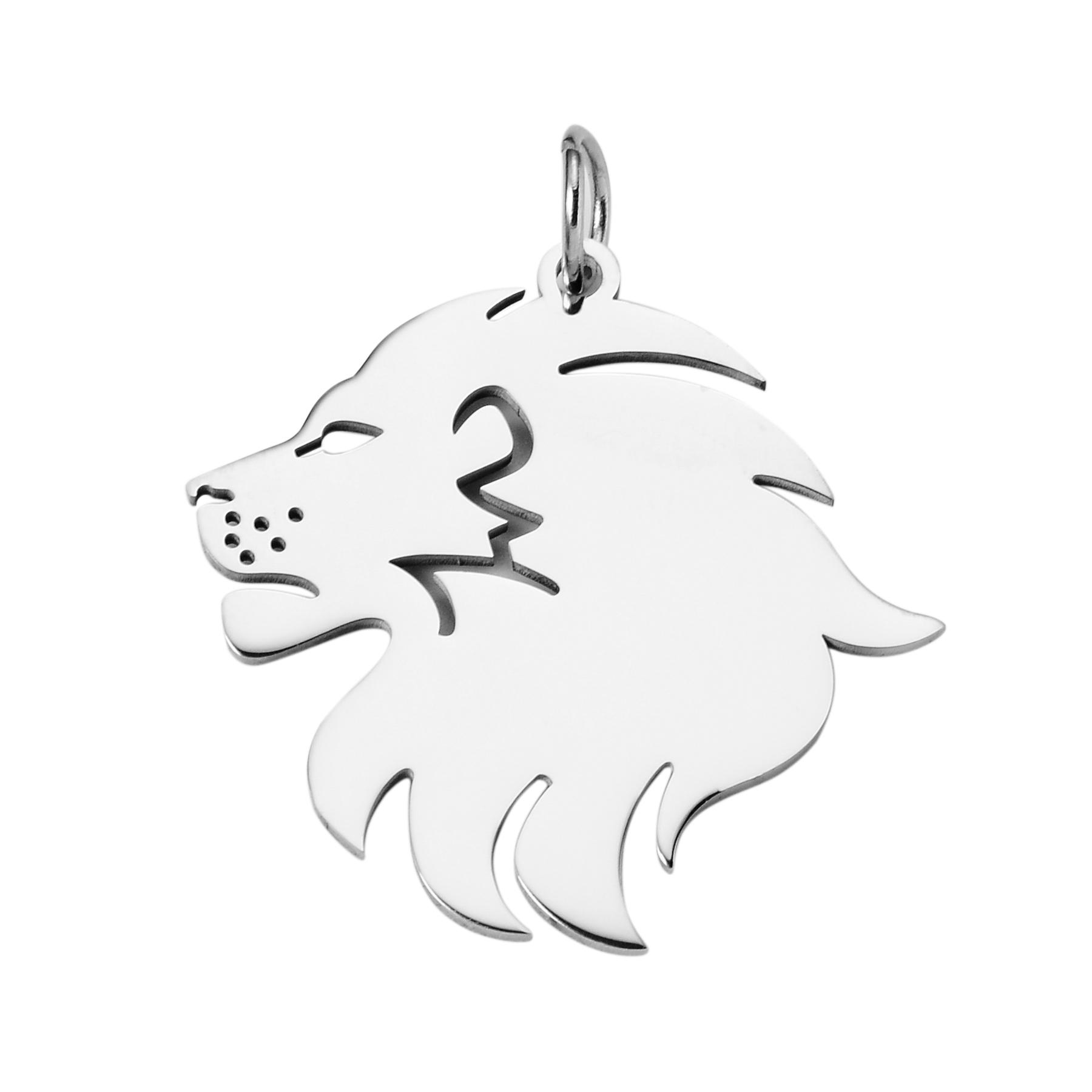 4Pcs High Quality Lion Head Charm Tags Stainless Steel Punk Animal Pendant Mirror Polished