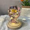 Hot-selling transparent glass cover rose flower lamp eternal flower ornament creative birthday gift graduation season sunflower