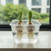 3PCS 4-grides Design Hydroponic Flower Pot with Drainage Holes Transparent Planting Basket Plastic Square Tulip Bulb Planter