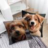 Niedliche Hunde Überwürf Kissenbezüge Überwurf Kissenbezug für Wohnzimmer Schlafzimmer Sofa Auto Kissenbezug Kissenbezug