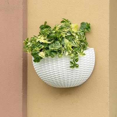 Modern Wall Planter Hanger Self Watering Pot Containers ,Flower Vase Flower Basket for