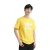 adidas T-shirt Adicolor Trefoil IR7977