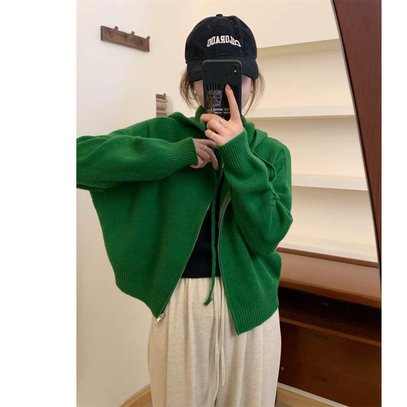 Toamnă și iarnă, în stil coreean, cu fermoar, pulover cu glugă, cardigan, jachetă, top tricotat la modă pentru femei