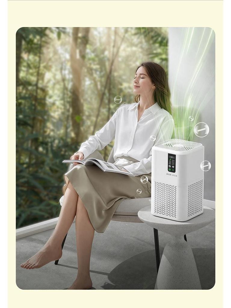 Aux Indoor Negative Ion Air Purifier for Smoke, Odor, Dust, and Allergen Removal