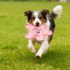Durable Oxford Cloth Flying Disc: Bite-Resistant Squeaky Toy for Teething Dogs & Interactive Fetch - Perfect for Border Collies and Golden Retrievers