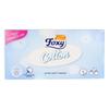 Paper Handkerchiefs - Cotton Foxy - 90 Units - For Adults - Boy Gender