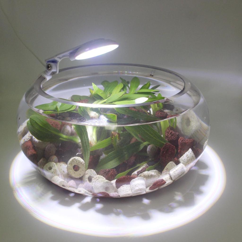 Round Waterproof LED Fish Tank Light for Aquatic Plants and Color Enhancement