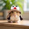 Adjustable Fisherman Hat Elastic Strap Decorative Rabbit Cap Funny Small Pets Hat  Photo Props