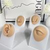 Silicone Ear Model for Piercing Jewelry Display