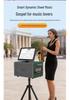 SS1-206 Portable Outdoor Karaoke Speaker: High-Power All-in-One Singing Machine