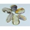 153Cts. Natural Botswana Agate Pear Cabochon Loose Gemstone 6 Pcs Lot A-675